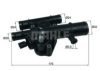 RENAU 8200641307 Thermostat, coolant